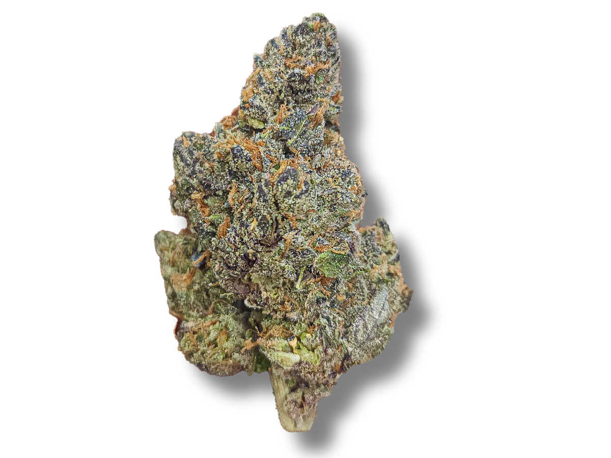 3.5 – Carbon (Indica)